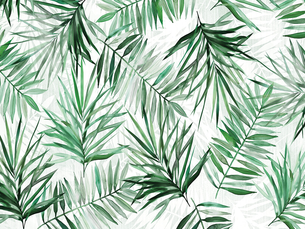 Palm Fronds