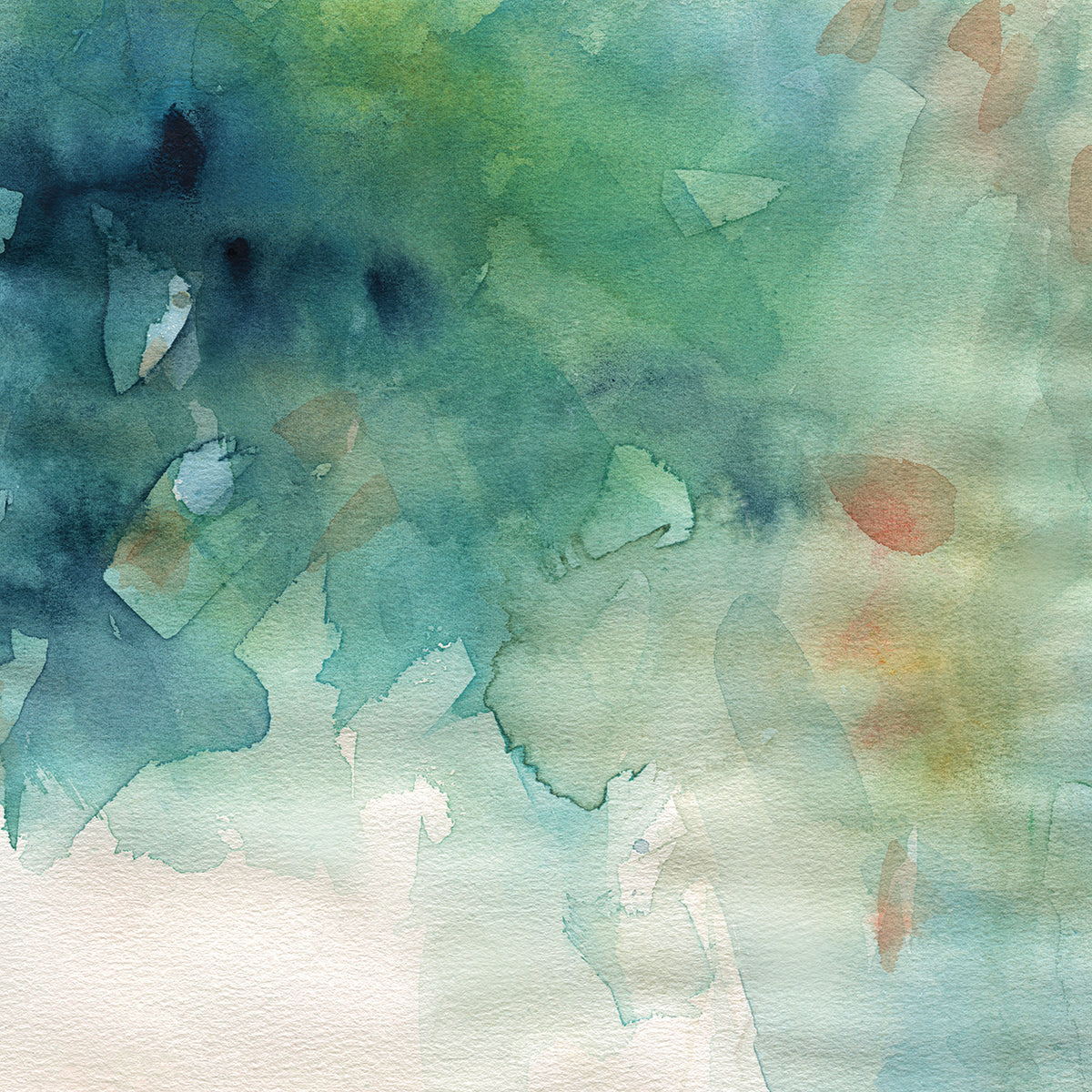 Tropical Washes