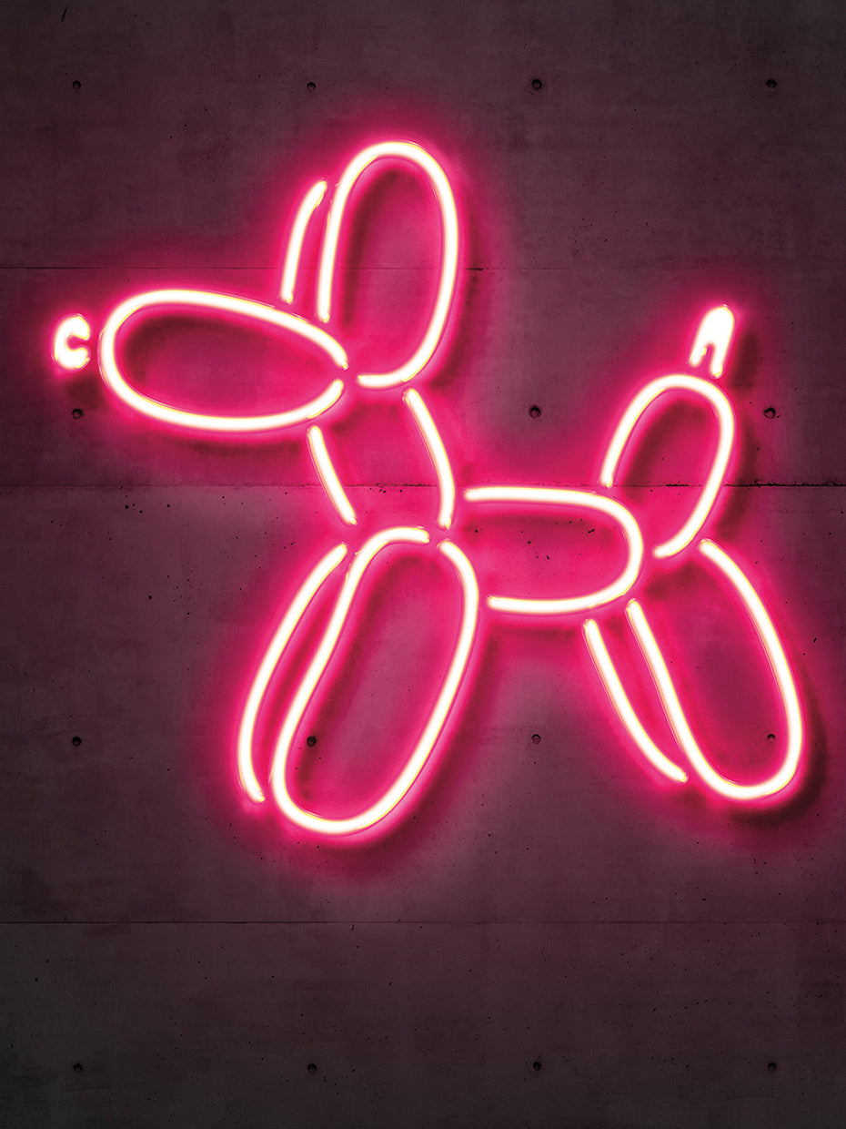 Balloon Dog