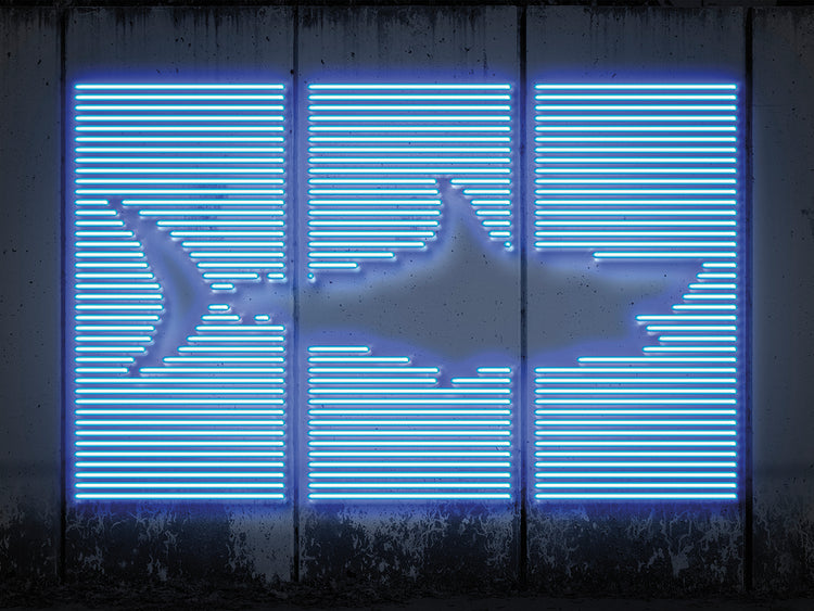 Shark