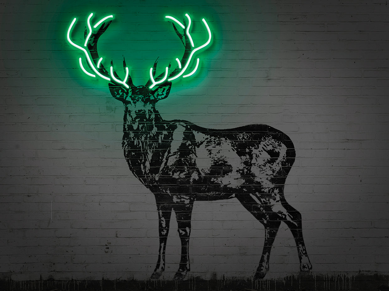 Deer