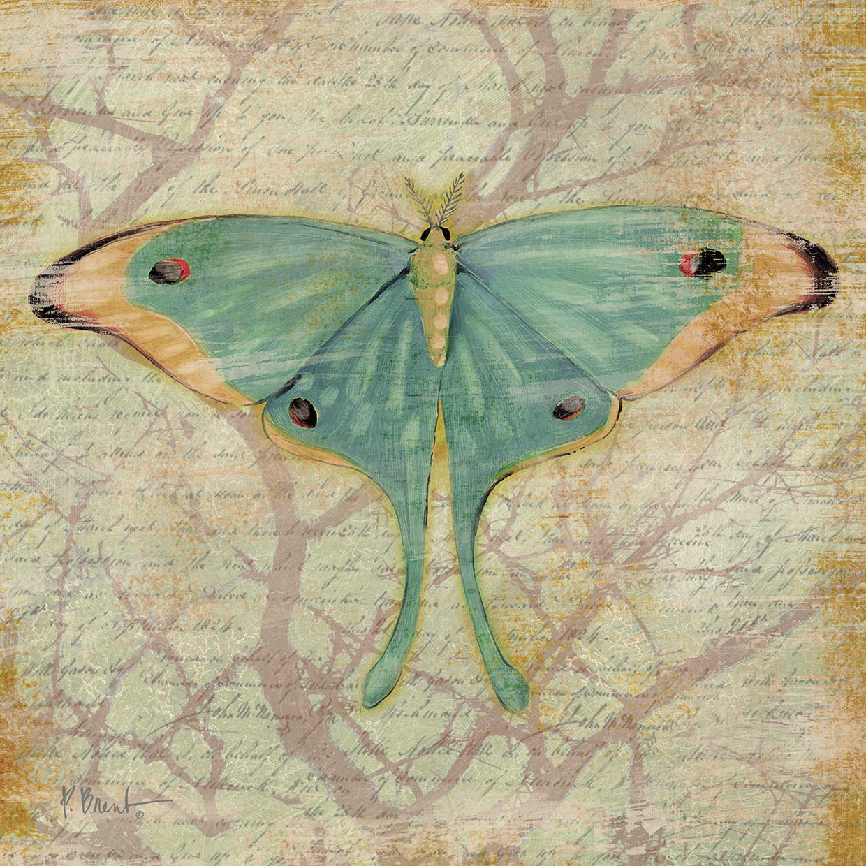 Vintage Butterflies III