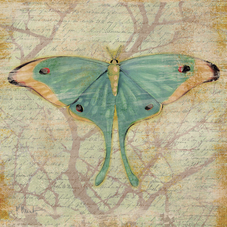 Arte de la lona de las mariposas del vintage III