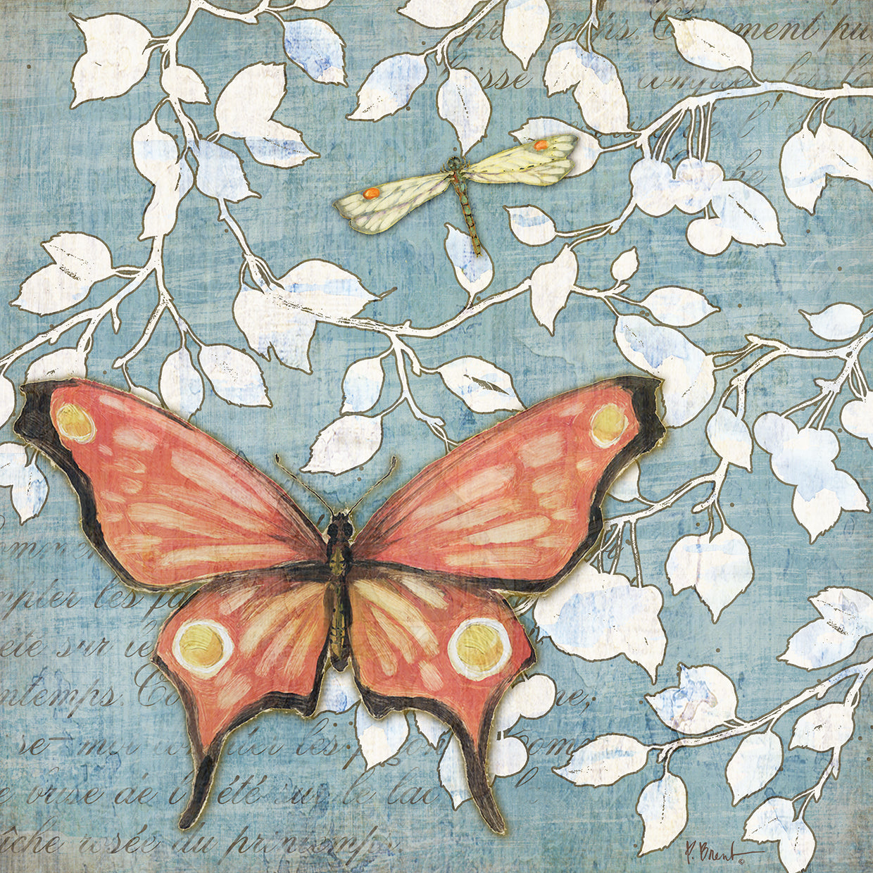 Mariposa Butterfly I