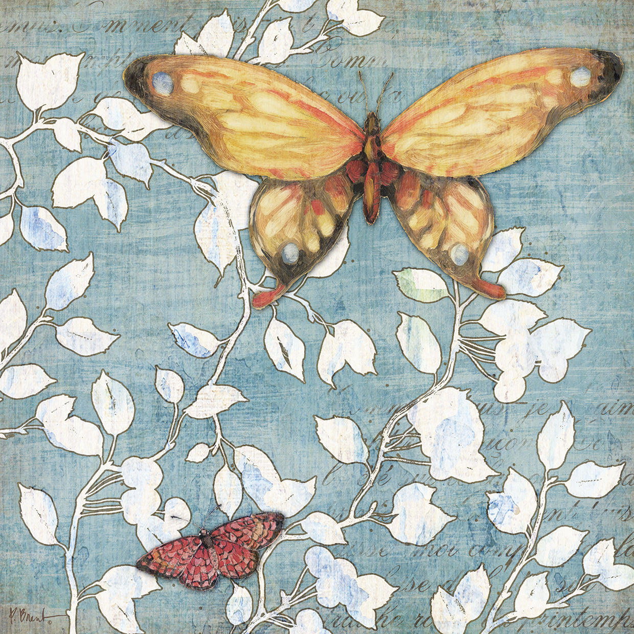 Mariposa Butterfly II