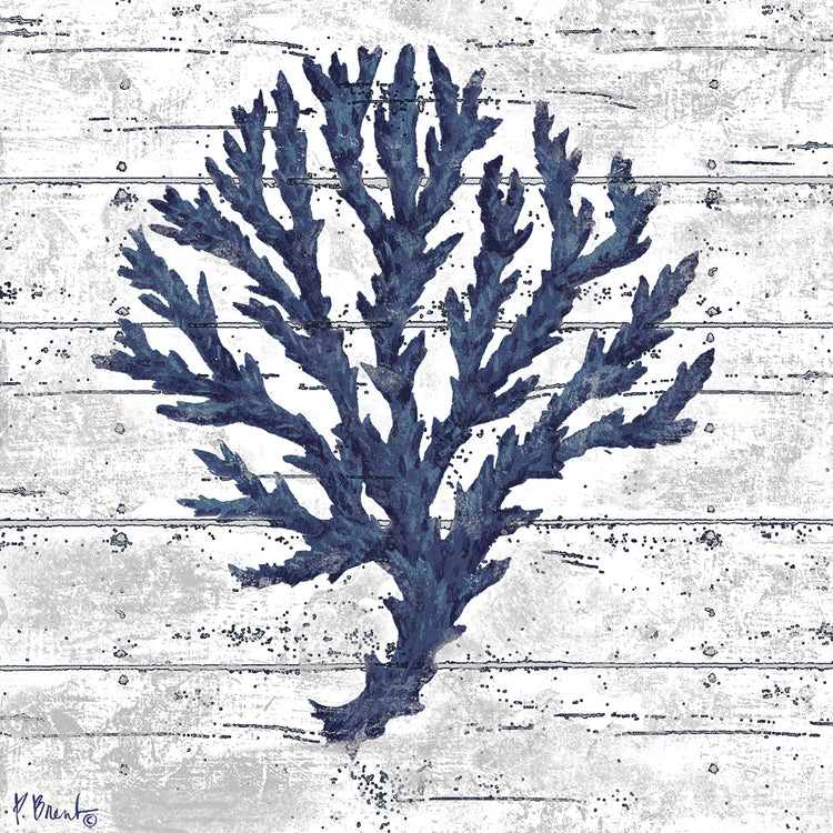 Cape Coral III “ White