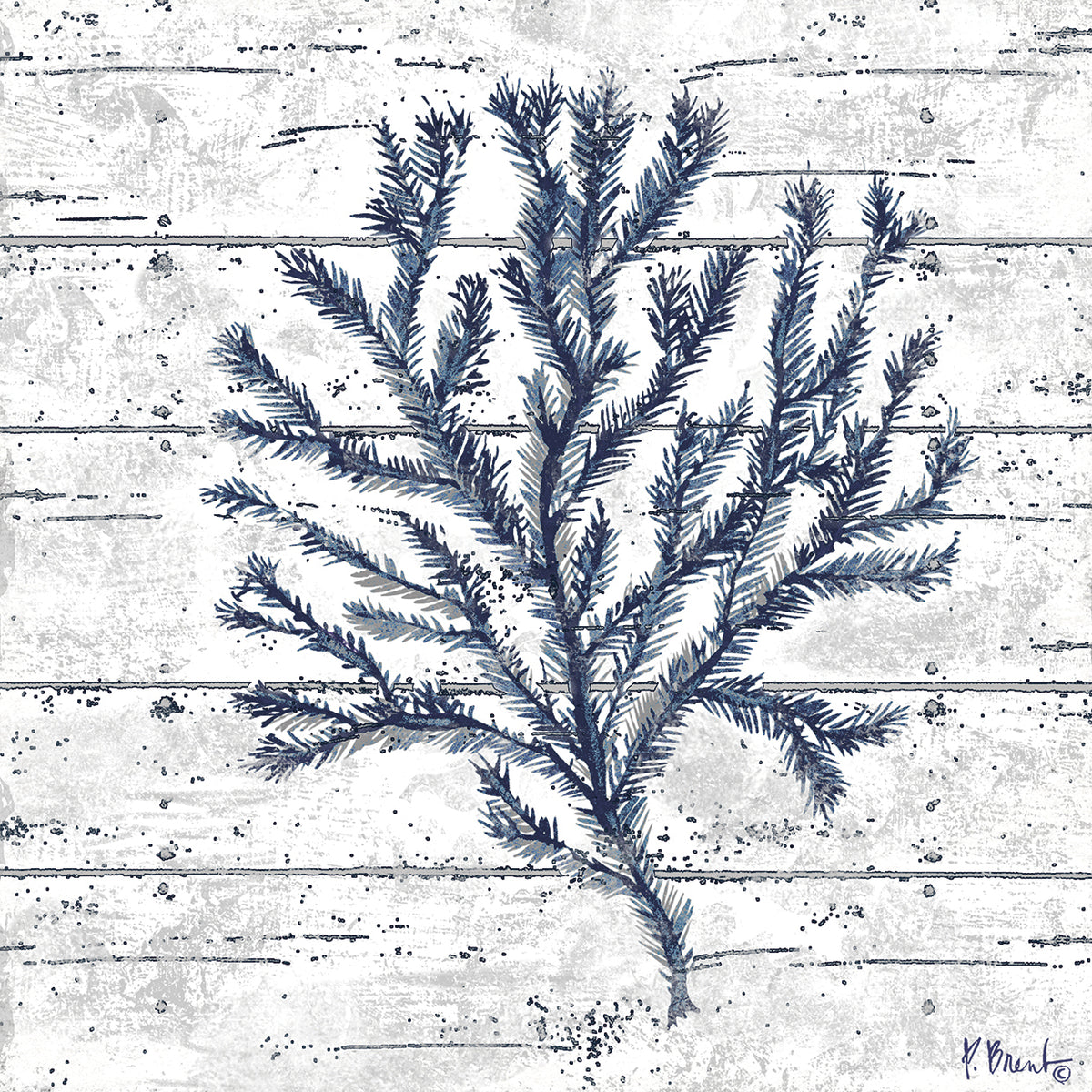 Cape Coral IV – White