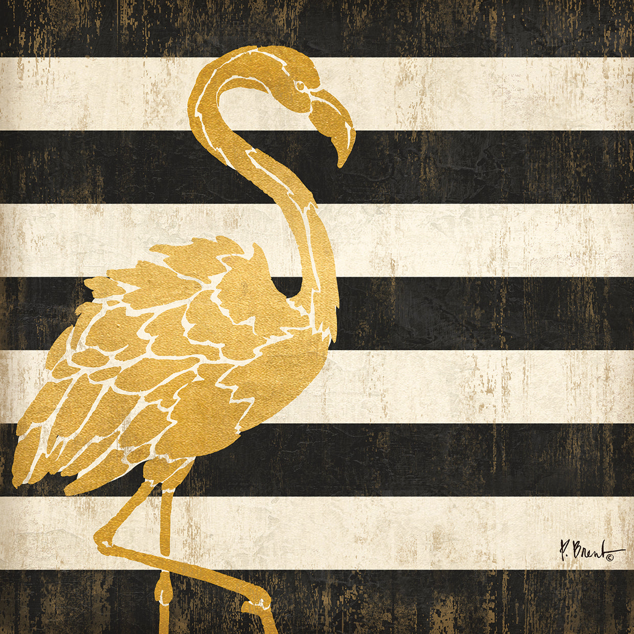 Gold Coast Flamingo