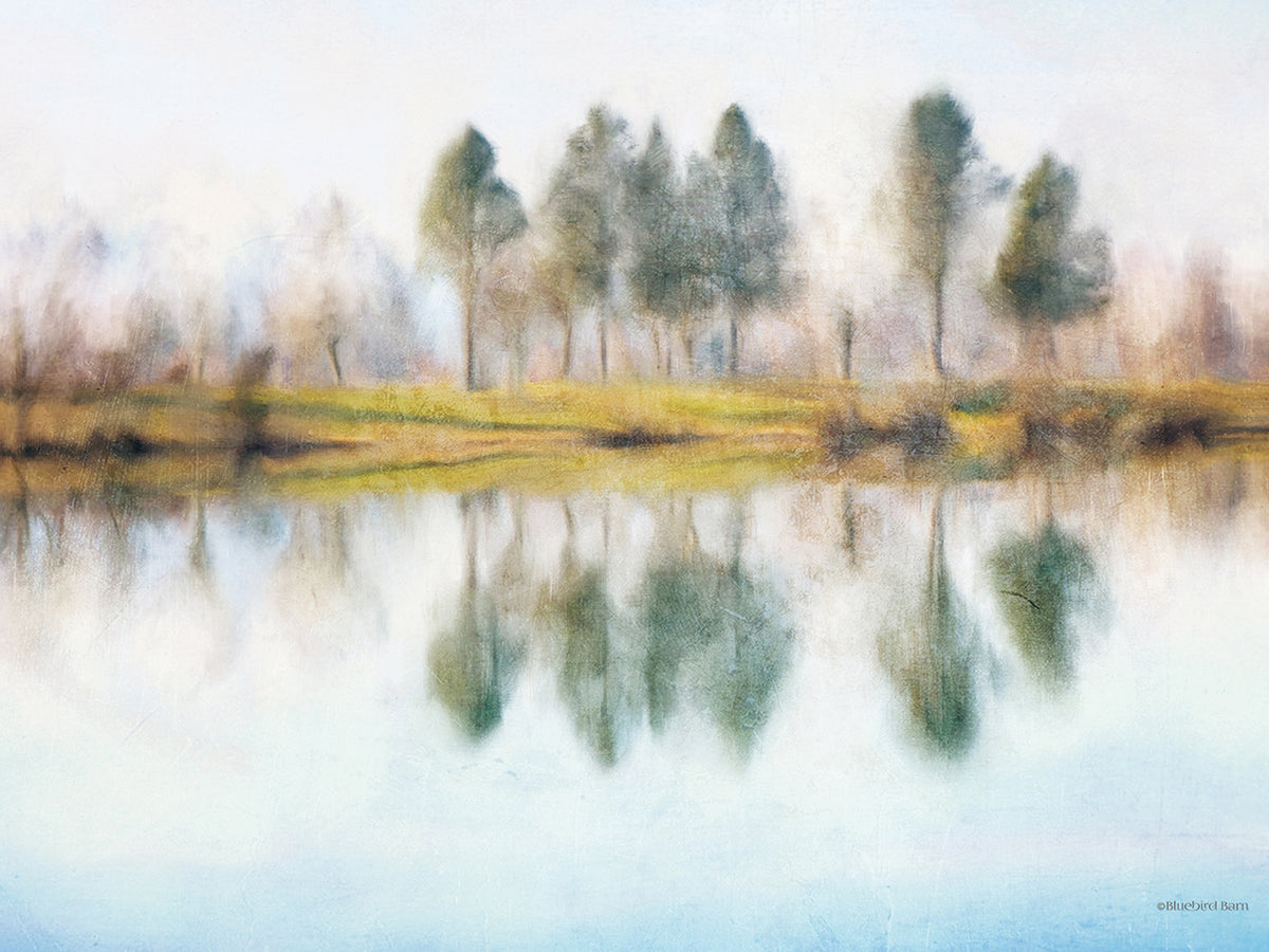 Lake Reflections