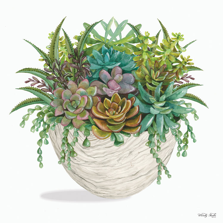 White Wood Succulent II