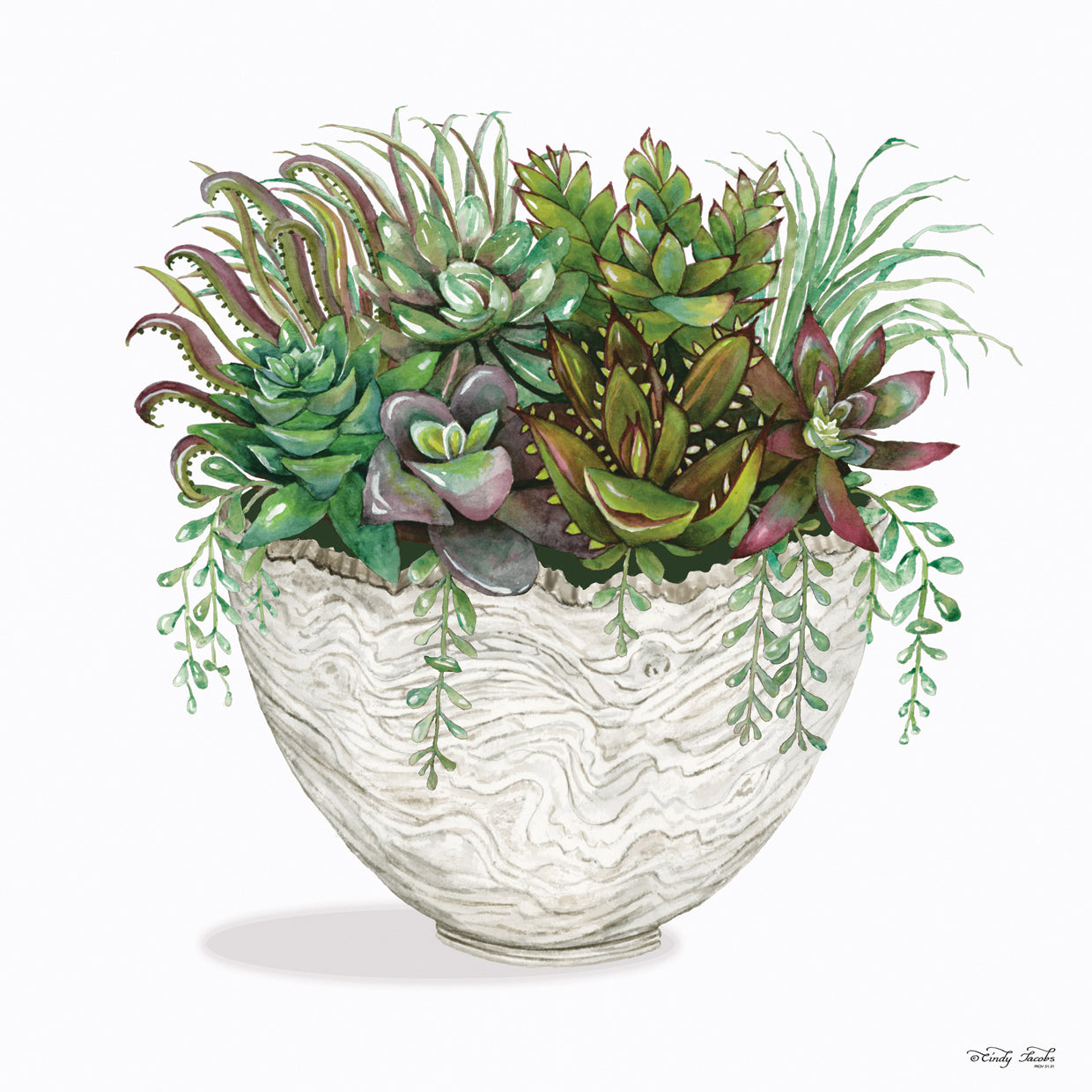 White Wood Succulent III