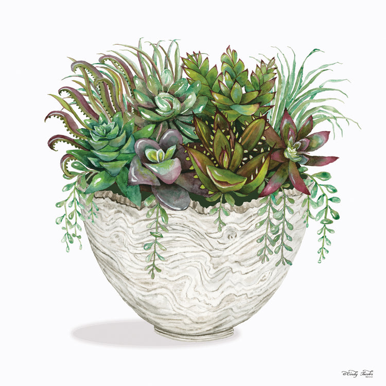 White Wood Succulent III