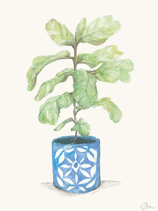 Fiddle Leaf Plant Canvas Print