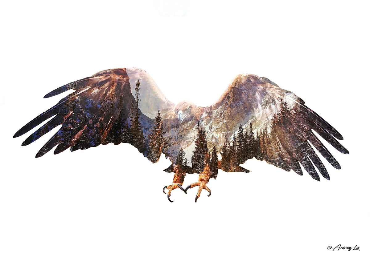 Artic Eagle
