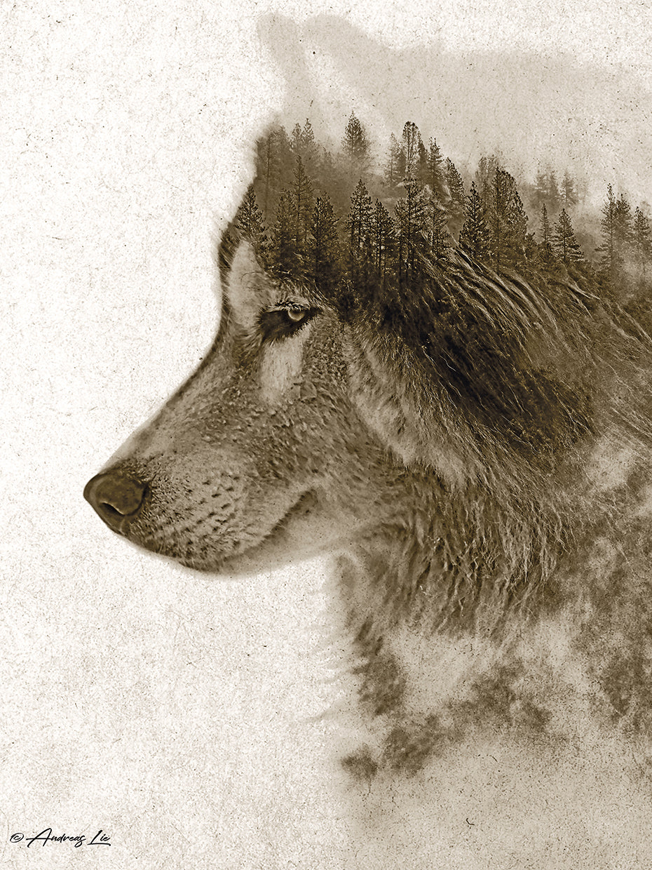 Lobo Lienzo