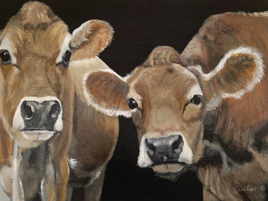 Hello There Cows Canvas Art