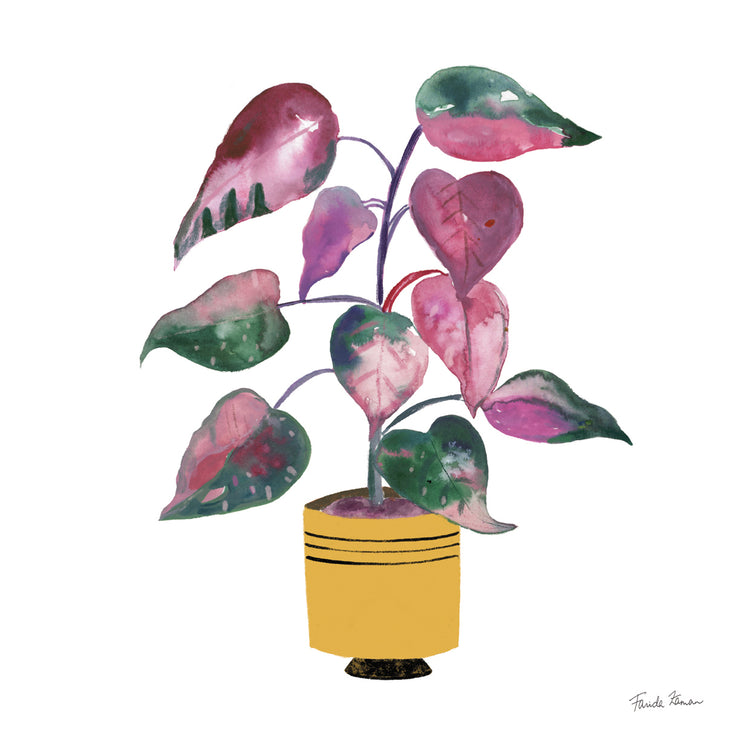 Potted Jewels II