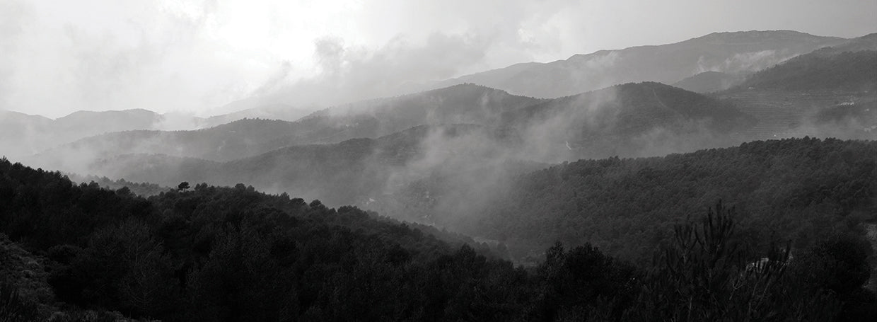 Foggy Fantasy Mountains