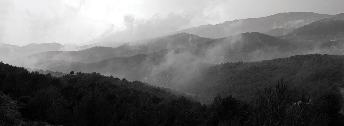Foggy Fantasy Mountains