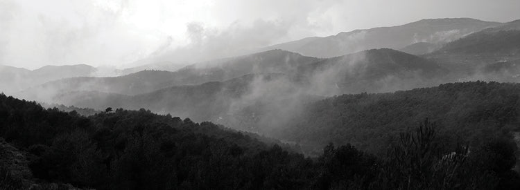 Arte de la lona de las montañas de la fantasía de niebla