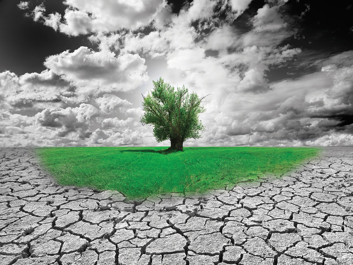 Growing Up Green