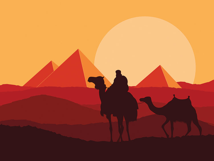 Camel Caravan Sunsets