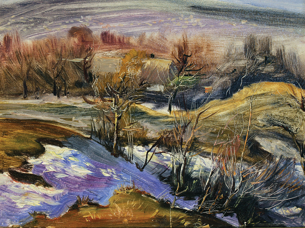 Sunny Snow Landscape