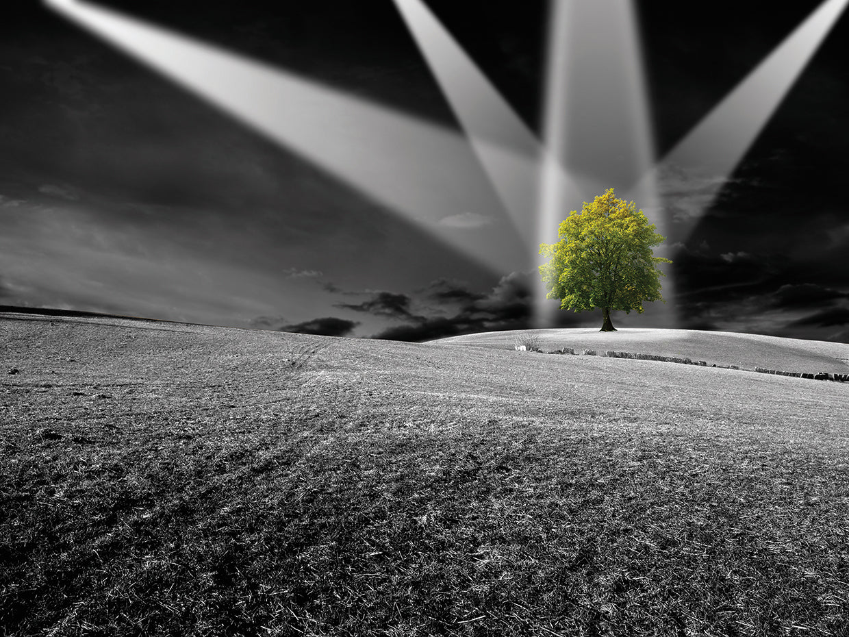 Spotlight on Nature