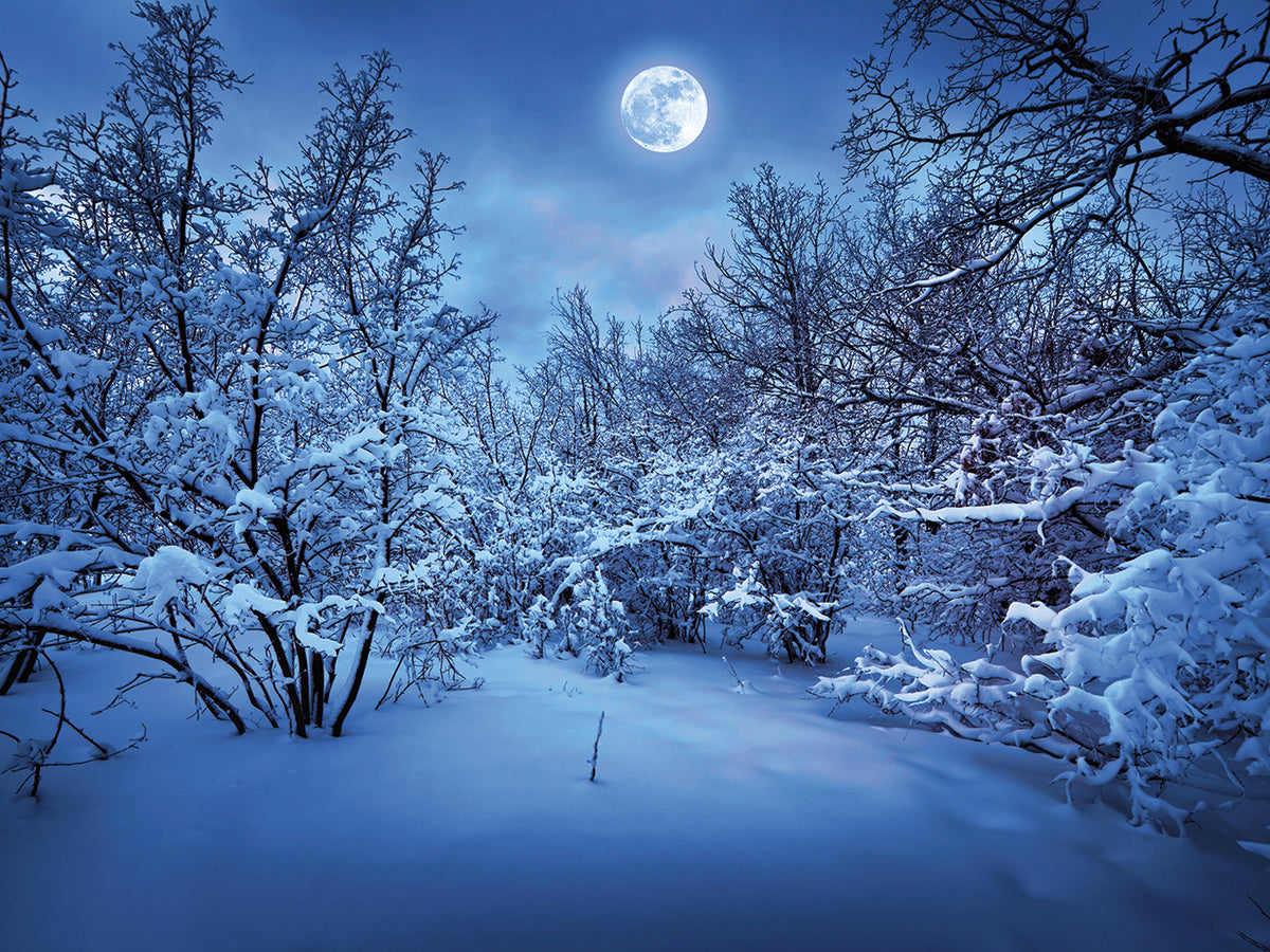Silver Magic Moonlight