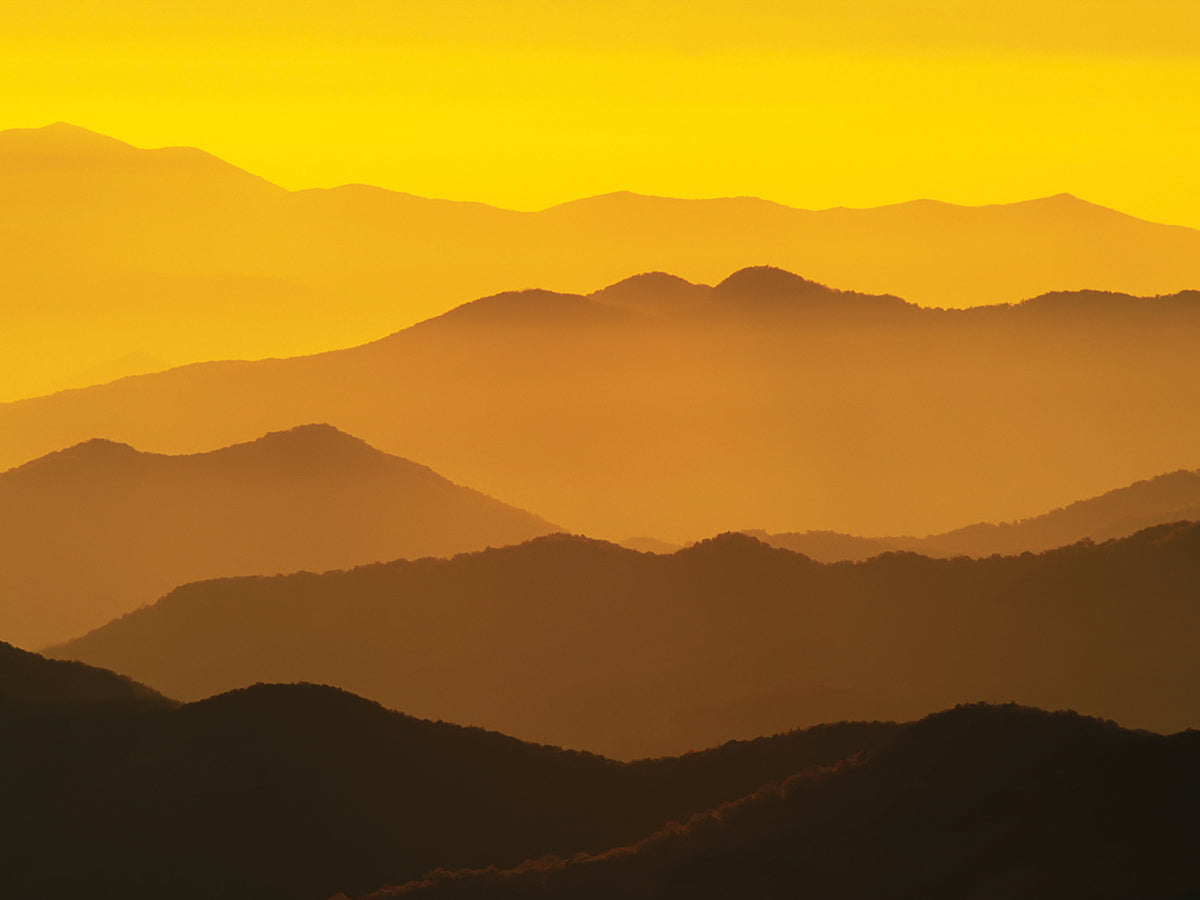 Golden Smoky Mountains