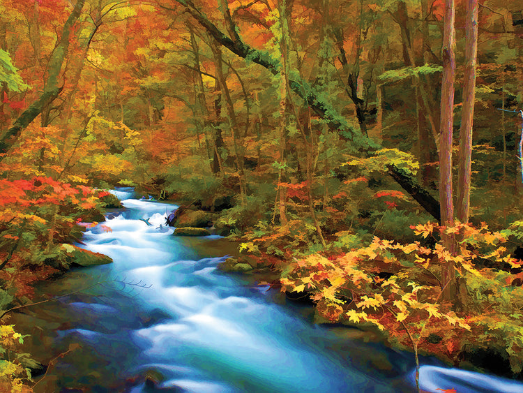 Rushing Autumn River