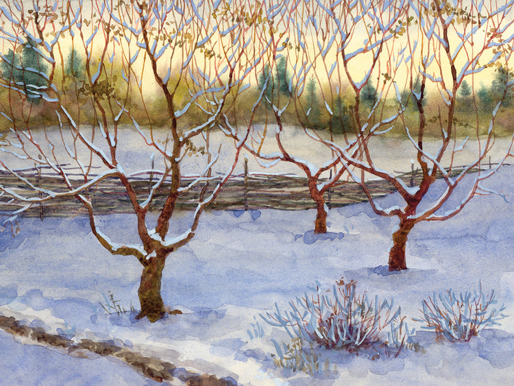 Arte de lienzo de huerto de nieve fresca