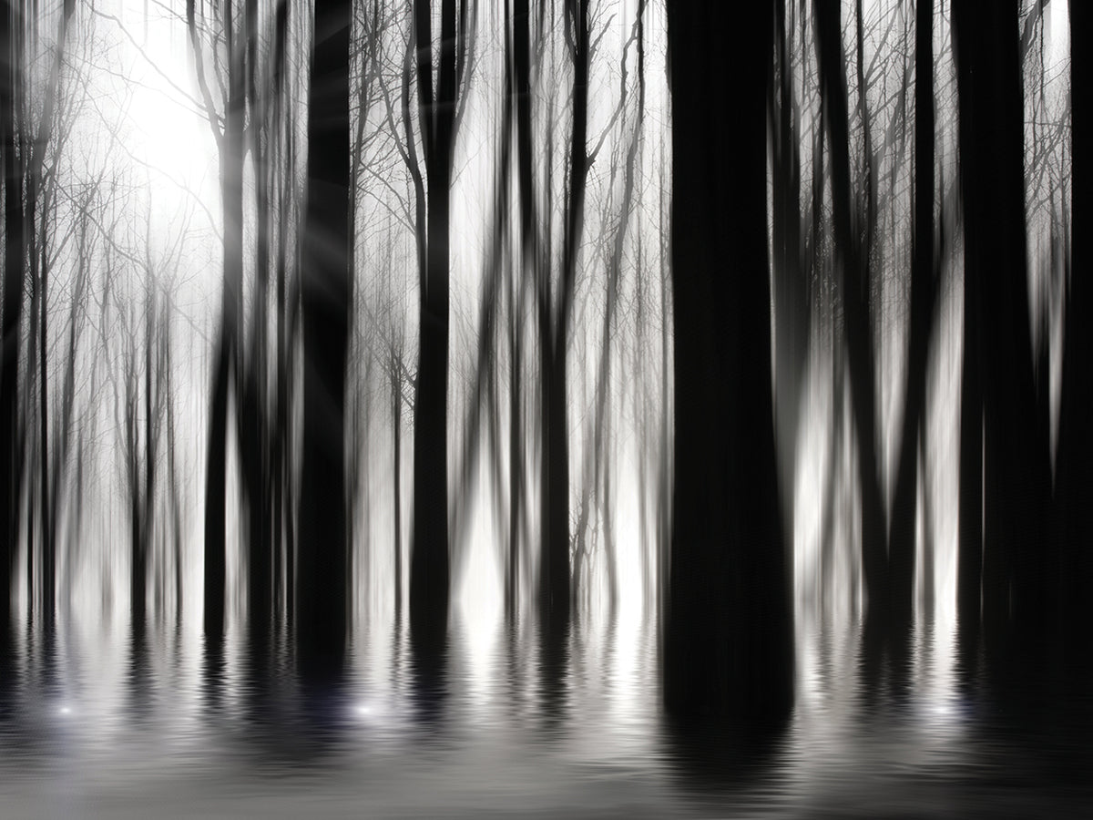 Ghostly Shimmer Forest