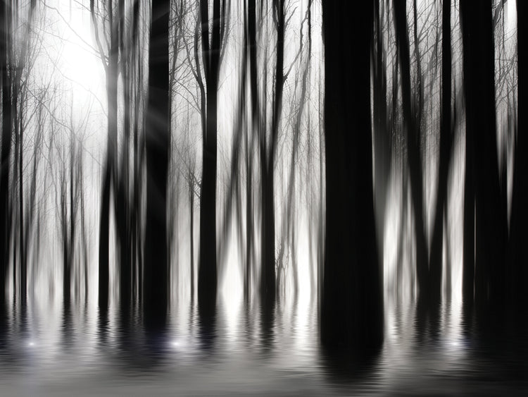 Arte de lienzo de bosque de brillo fantasmal