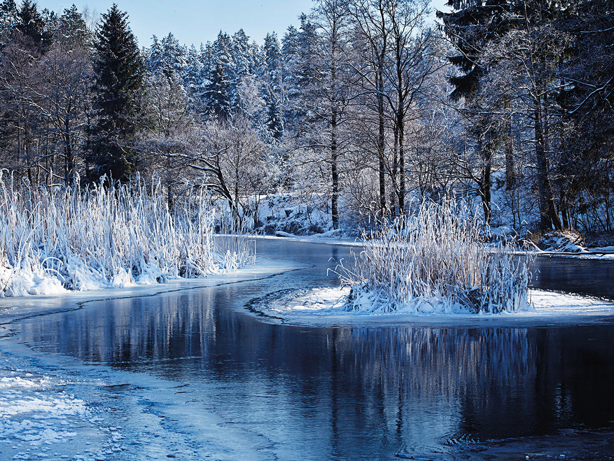 Icy Blue Winter River