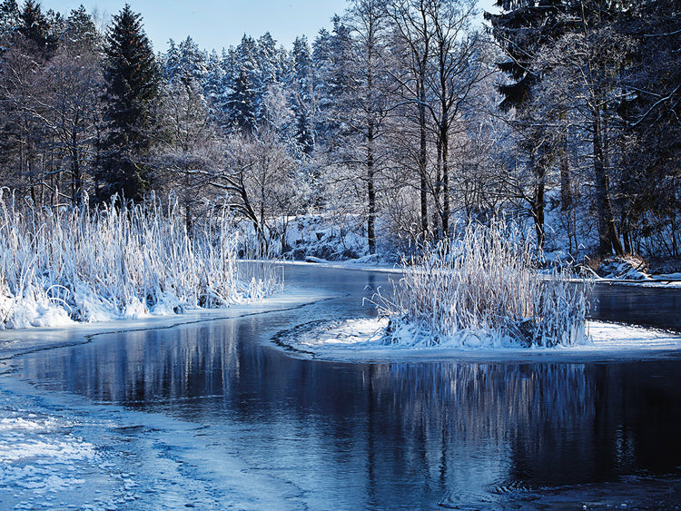 Arte de la lona del río azul helado del invierno