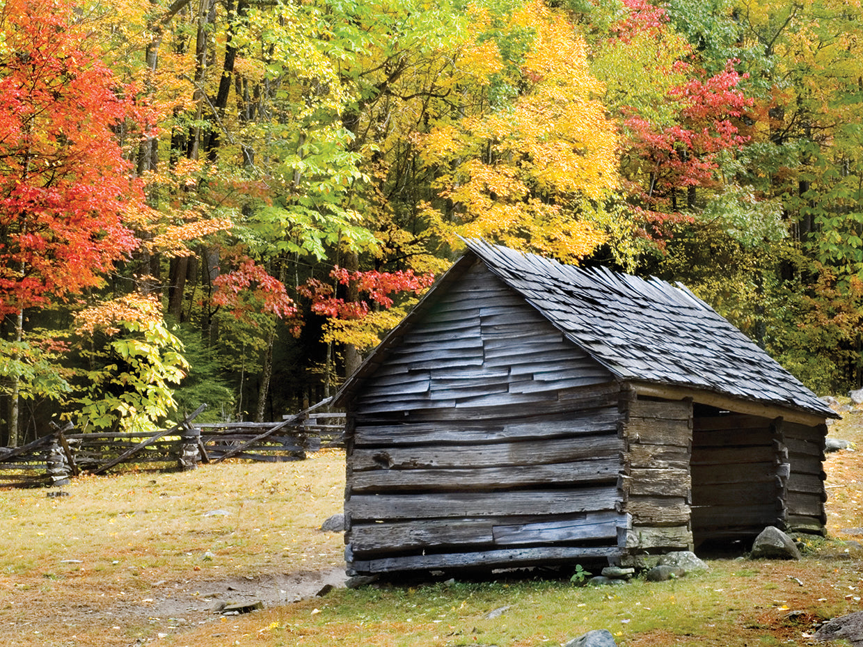 Smoky Mountain Rustic Cabin