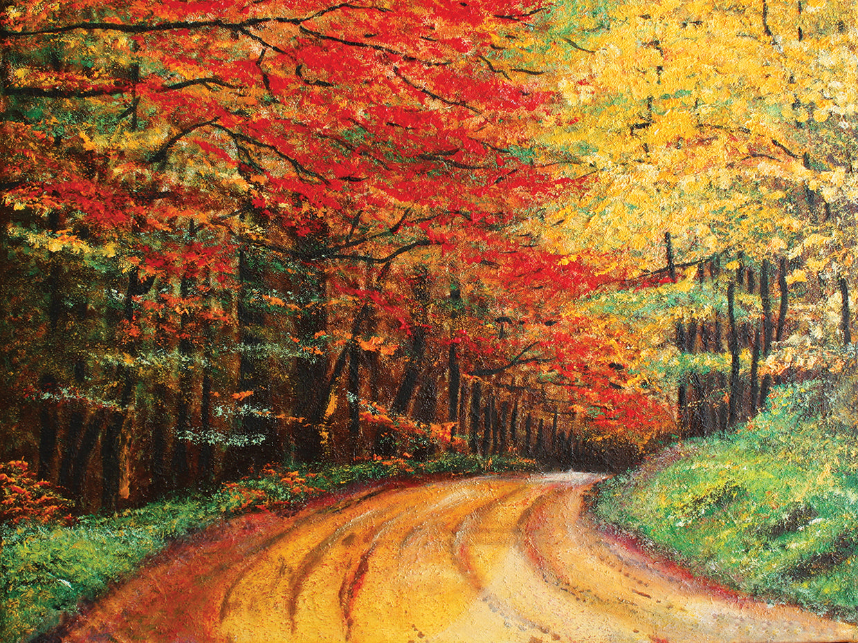 Colorful Curves Fall Forest