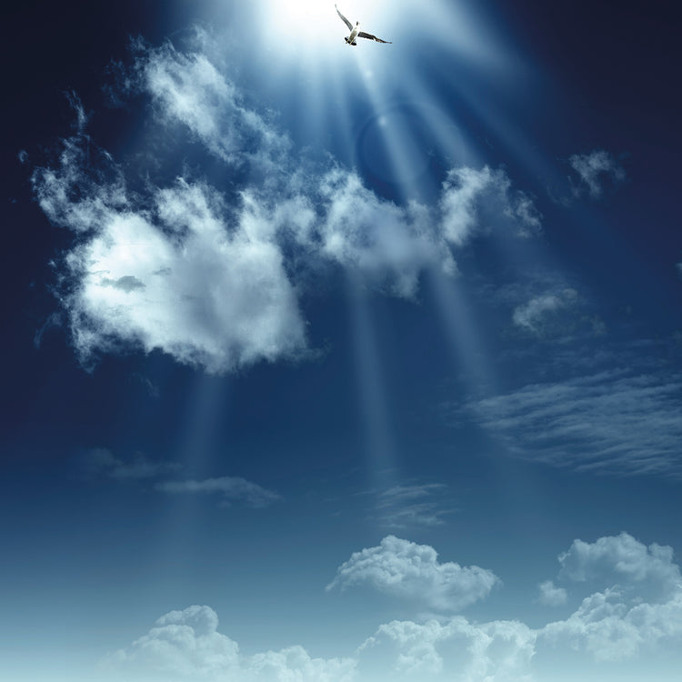 Arte de la lona de la paloma azul celestial