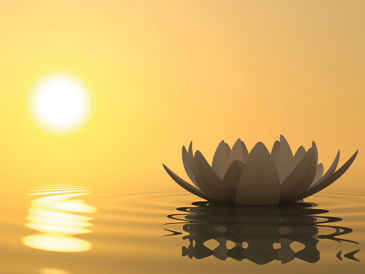 Zen Lotus Reflections