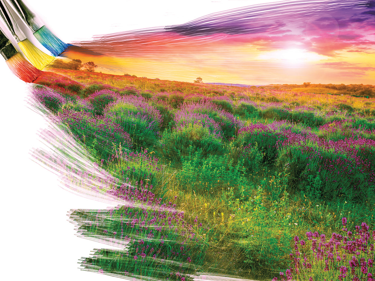 Brushed with Colors Landscape