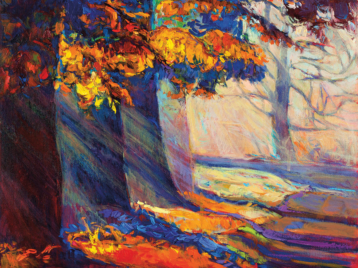 Flash of Colors Forest