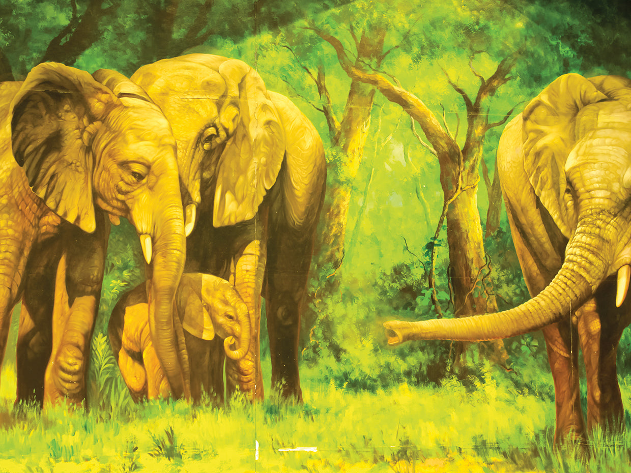 Elefante niñeras arte de la lona
