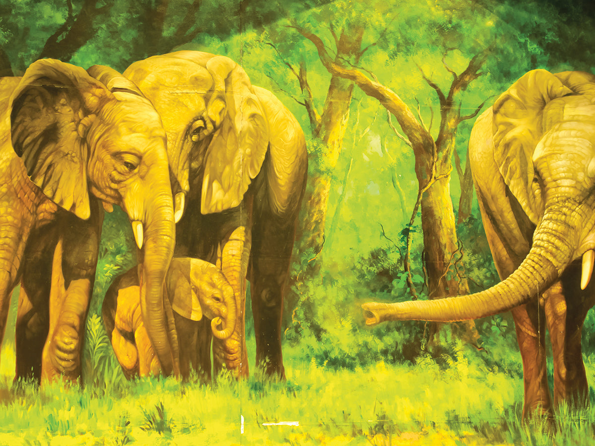 Elephant Babysitters