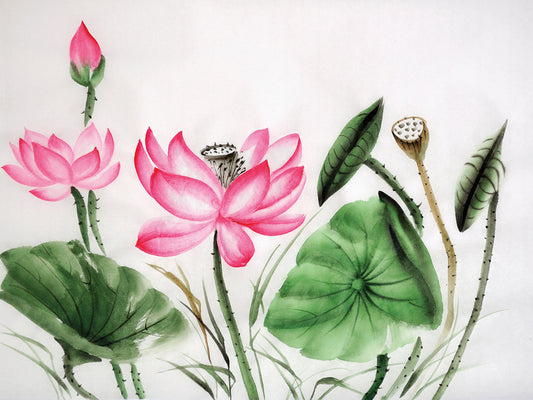 Pink Enlightenment Lotus Canvas Art