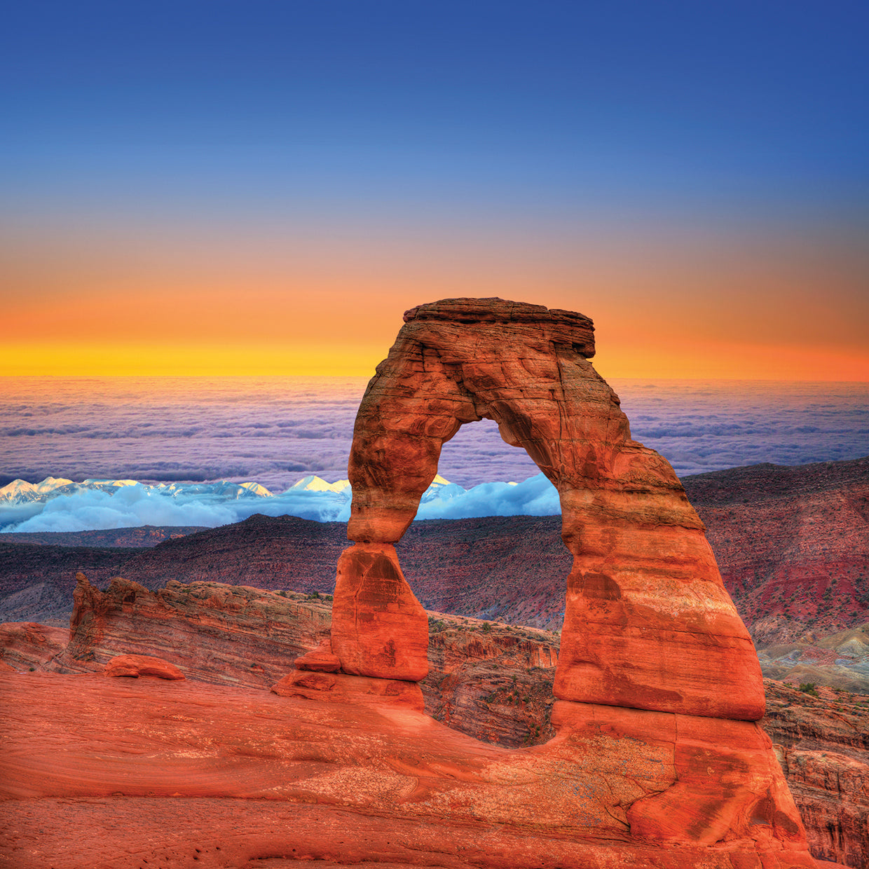 Nature's Finest Arches Park