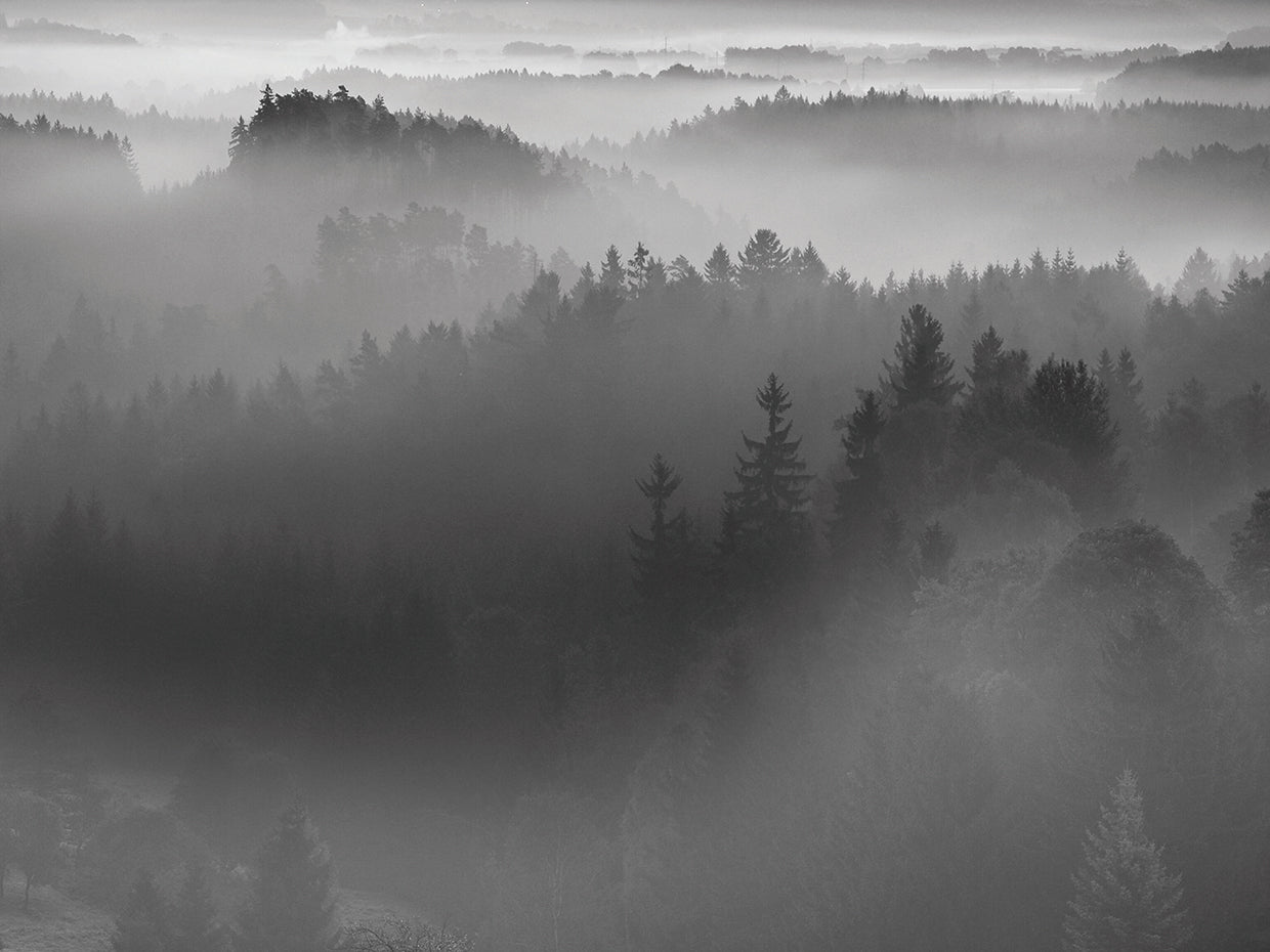 Silver Mist Valley