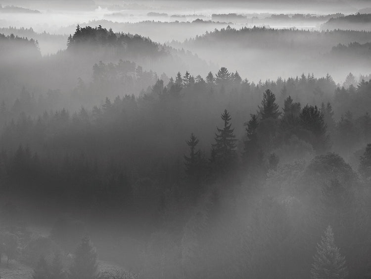 Arte de lienzo de Silver Mist Valley