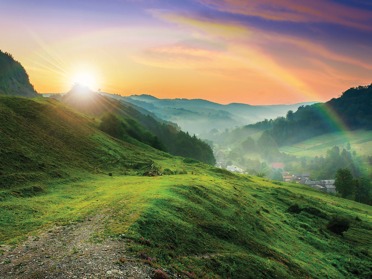 Emerald Meadow Rainbow