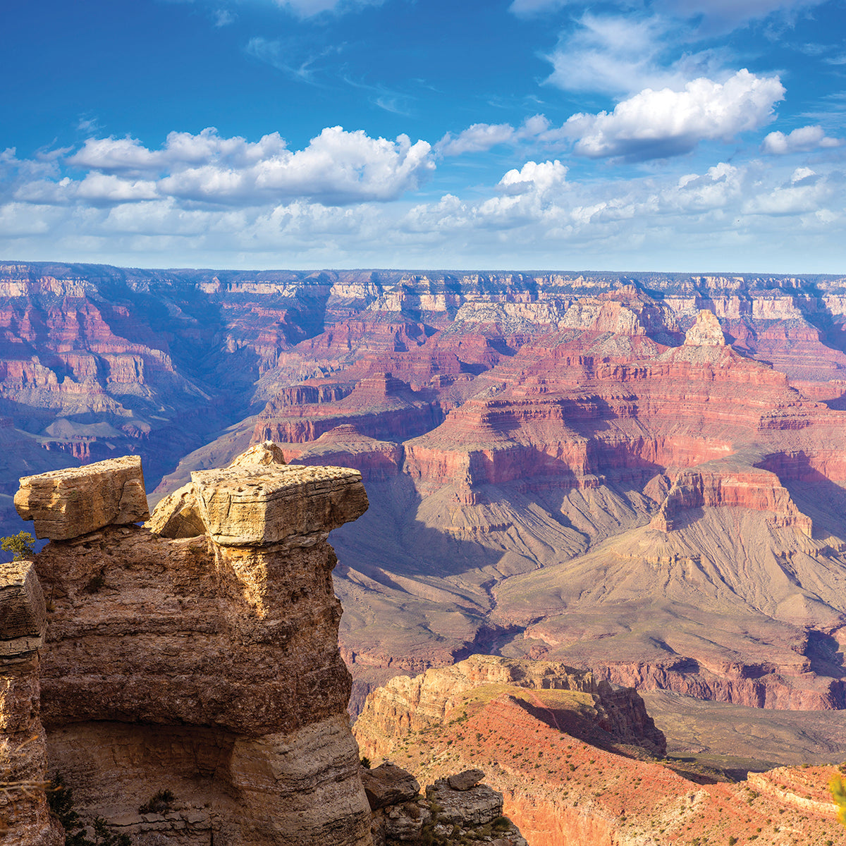 Grand Canyon Majesty